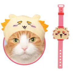 ちいかわ シーサー ねこのかぶりもの ライトブレス 2点