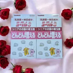 ヨーグル3スリー 30グラム シニア犬のお腹の善玉菌のサムネイル