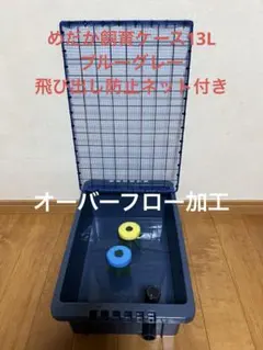2026年最新】NV box 13 メダカの人気アイテム - メルカリ
