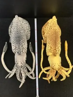 フグ提灯 ふぐ置物 剥製 イシガキフグ - メルカリ