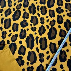 Item thumbnail for item 93716822-e415-4219-87c9-533603c1aaa6