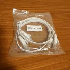 CAT6 フラット LANケーブル 0.5m 2個
