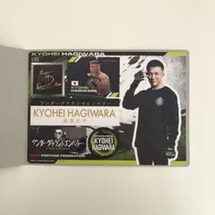 RIZIN ジャンボシールダス
