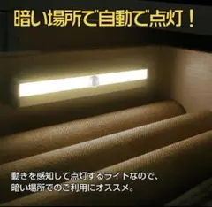 Item thumbnail for item cb1b98be-9ca4-4b94-a011-4263f325b060