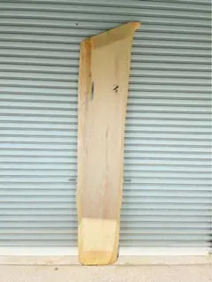 Item thumbnail for item b1486958-cf77-440d-ab78-c8c12f888479