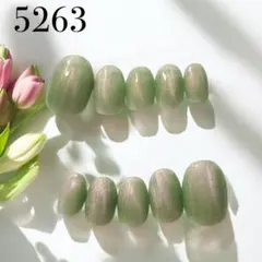 5263★ネイルチップ★ハンド★24枚セット★ショートオーバル