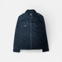 Item thumbnail for item c457c70e-be8d-475e-aacf-c1ba7305884c