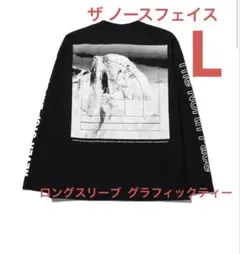 ザ ノースフェイス ロングスリーブ グラフィックTシャツ L