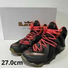 Item thumbnail for item be810404-504f-4e40-9756-3202f17f0d5f