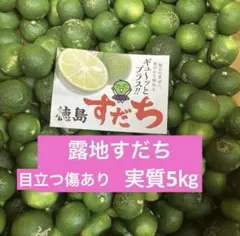 露地スダチ(二級品) 正味10kg超 露地スダチ(二級品) 正味10kg超 - メルカリ
