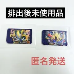 ポケモンフレンダ　スーパートレジャー　ギラティナ　レジギガス