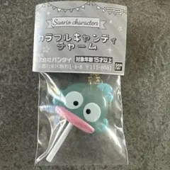 【匿名配送　即発】カラフルキャンディ　チャーム　ハンギョドン