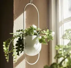 IKEA チリストローン ハンギングプランター ホワイト フェイカ 人工観葉植物