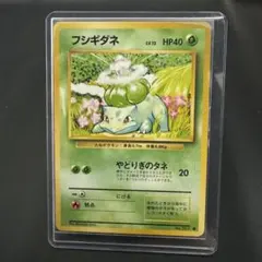 ポケカ旧裏】フシギダネ ○ 第1弾拡張パック 3/3 - メルカリ
