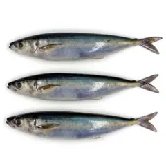 リアル サバ ワーム 150mm 34g 3匹 スイムベイト ビッグベイトのサムネイル