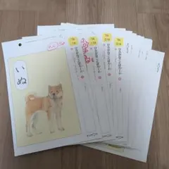 Item thumbnail for item 1dcc575d-b3f1-4e06-80ca-6a9ac43d8fba