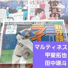 巨人 マルティネス、甲斐拓也、田中瑛斗 スポーツ報知関連記事