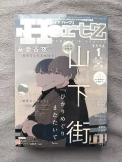 2026年最新】ihr hertzの人気アイテム - メルカリ