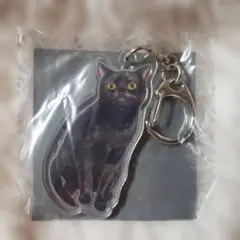 フェリシモ猫部 アクリルキーホルダー 黒猫　未使用