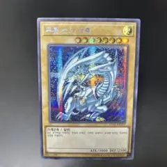 遊戯王　ブルーアイズホワイトドラゴン　シークレット　379