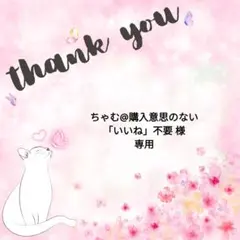 ちゃむ@購入意思のない「いいね」不要様 リクエスト 2点 まとめ商品