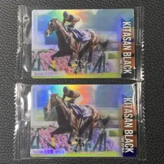 サラブレッドホースコレクション キタサンブラック サイン入り