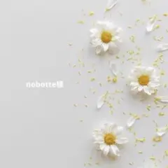 nobotte様 リクエスト 9点 まとめ商品