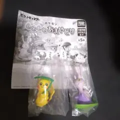 ポケモンしとしとあまやどり ピカチュウ&ヌメイル