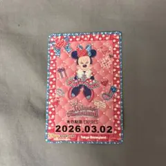 フリーきっぷ ミニーのファンダーランド