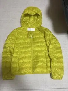 Item thumbnail for item 1351ef80-4dbd-4fe7-b9e8-9628284b30a3