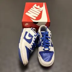 NIKE DUNK LOW RETRO 27cm DD1391 401