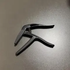 Item thumbnail for item 84cad97e-7b5d-4112-8113-3a3d01cab27b