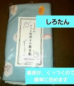 Item thumbnail for item aa1cf475-b9d8-4724-b3f4-9ee4a090dd17