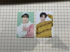 CARATLAND2020 ディノ トレカ