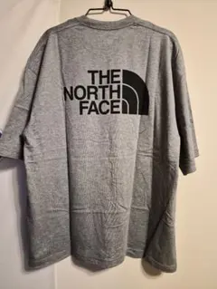 THE NORTH FACE グレー Tシャツ