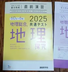 地理総合　地理探究　2025 共テ　ベネッセ