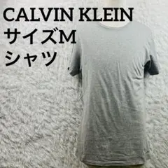 Calvin Klein カルバンクライン　メンズ 半袖Tシャツ グレー