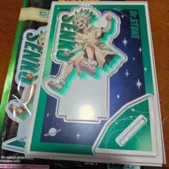 Dr.STONE 石神千空 ビッグアクリルスタンド ダイソー