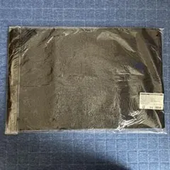 （AYA様専用）玄関マット　ブラック　中古