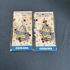 関ジャニ∞ リサイタル 真夏の俺らは罪なヤツ キーホルダー 2個
