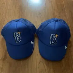 Item thumbnail for item 9feee6ec-a29d-4cc6-ad66-537522a29e66