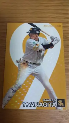 Item thumbnail for item e0223065-1c26-48dc-83d8-51b2d0257ef4