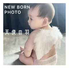 Item thumbnail for item 1485490e-9dfa-4696-bee1-4d5ba41fc2ea