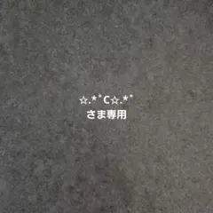 ✩.*˚C✩.*˚さま専用