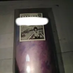 Item thumbnail for item 8e005216-87d5-4eeb-8e51-251a6aae9ec7