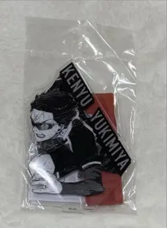 ブルーロック展　雪宮剣優　アクリルスタンド　ブルーロック　ブルロ展