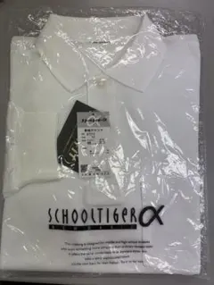 Item thumbnail for item d168a399-0c00-4b11-b98f-7a2cdc8ba22b