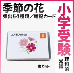 理英会カード 小学校受験 新年少〜年長 ほぼ揃い 2026年最新】理英会カードの人気アイテム - メルカリ