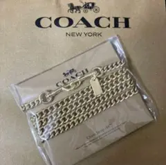 新品　COACH コーチ　バッグストラップ　鎖　チェーンストラップ　ゴールド
