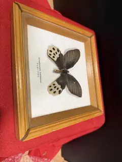 2026年最新】蝶の人気アイテム - メルカリ